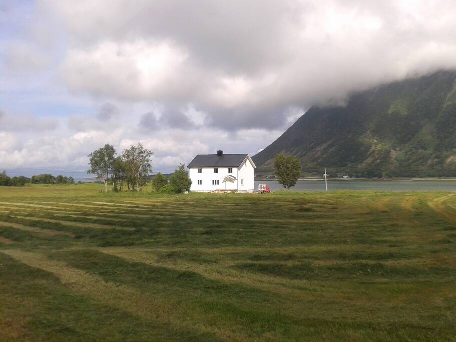 The house in summer