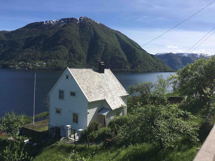 Image 1