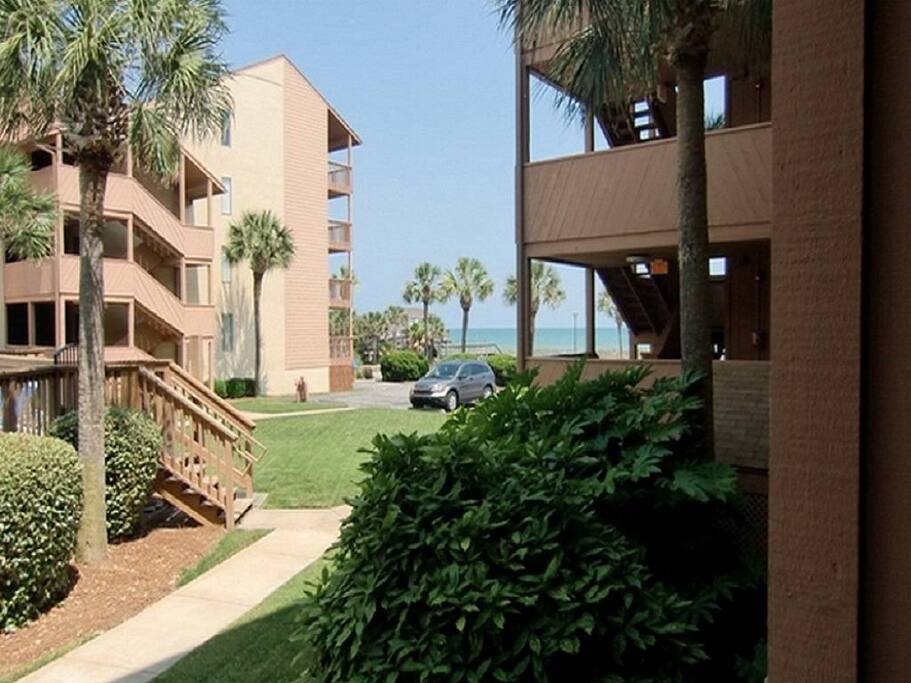 Building,Terrace,High Rise,Vegetation,Downtown