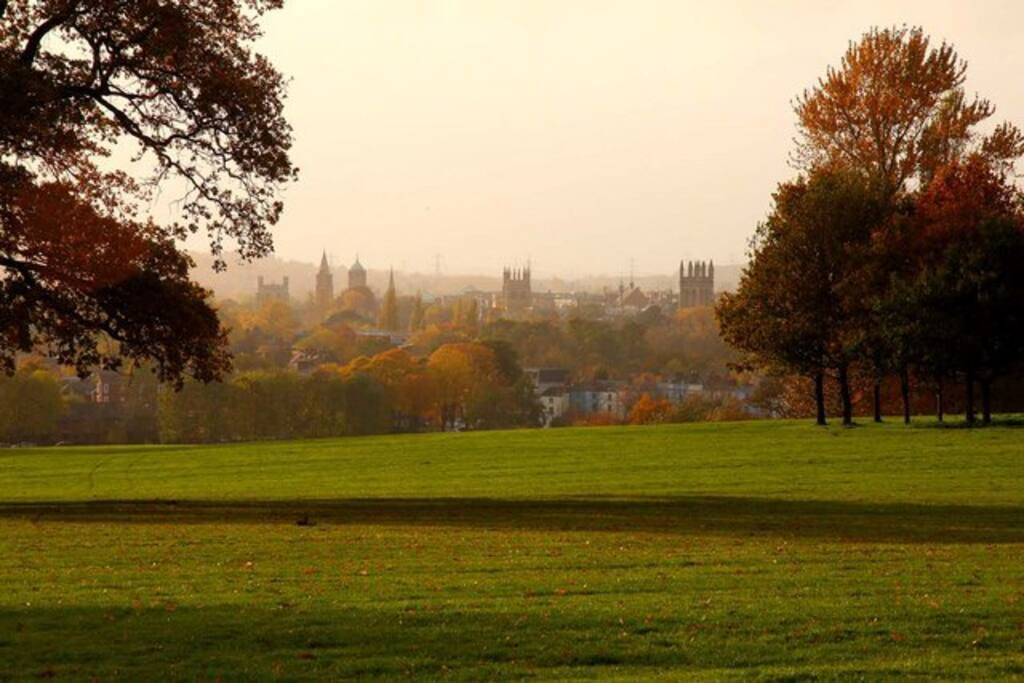 View of Oxford’s dreaming spires from outside our back gate :)