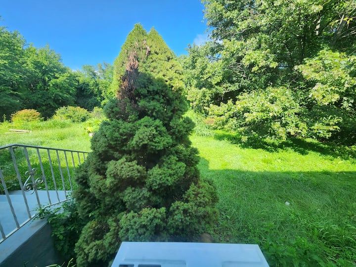 Private Room In Green Paradise - Poughkeepsie, NY