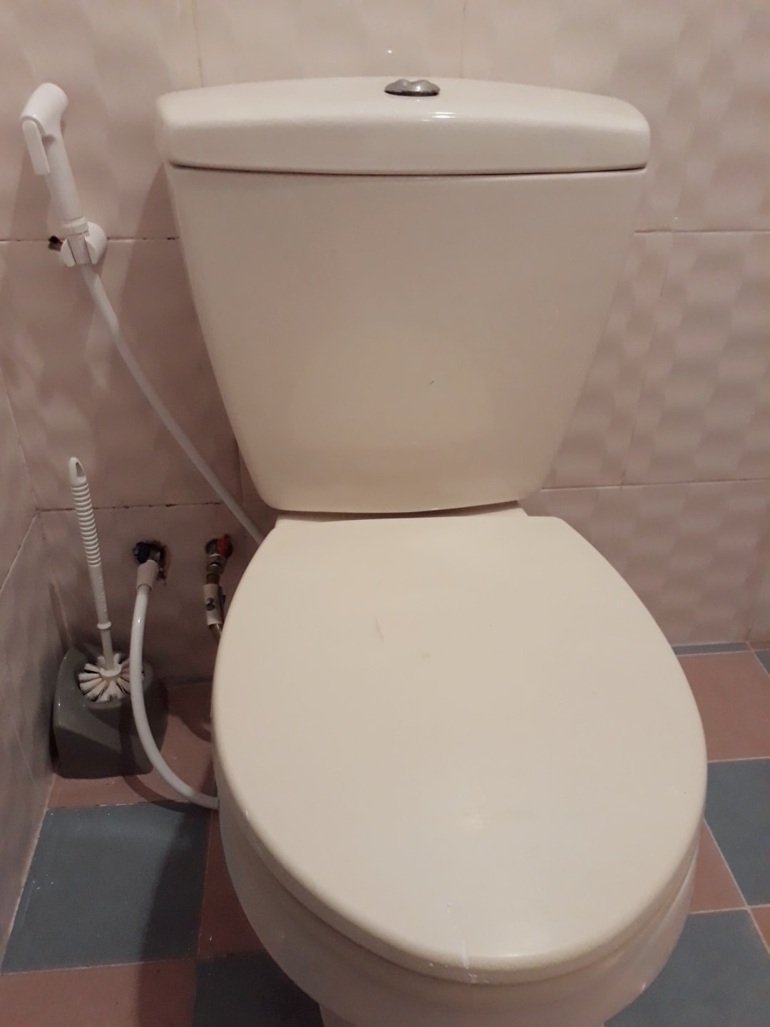 A clean, modern toilet is positioned against a tiled wall. Features include a bidet attachment on the side, providing convenience. The color scheme is neutral, with light-colored tiles enhancing the overall simplicity of the space.