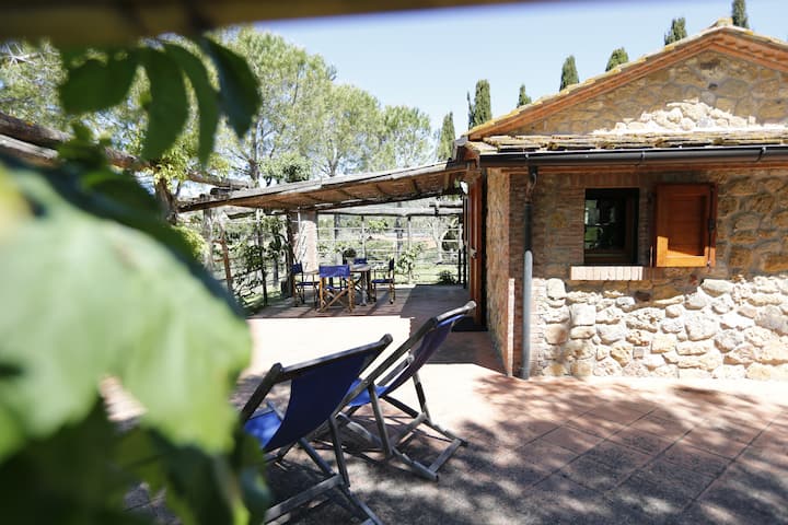 I Mandrioli, Una Casa Immersa Nella Natura. - Bibbona