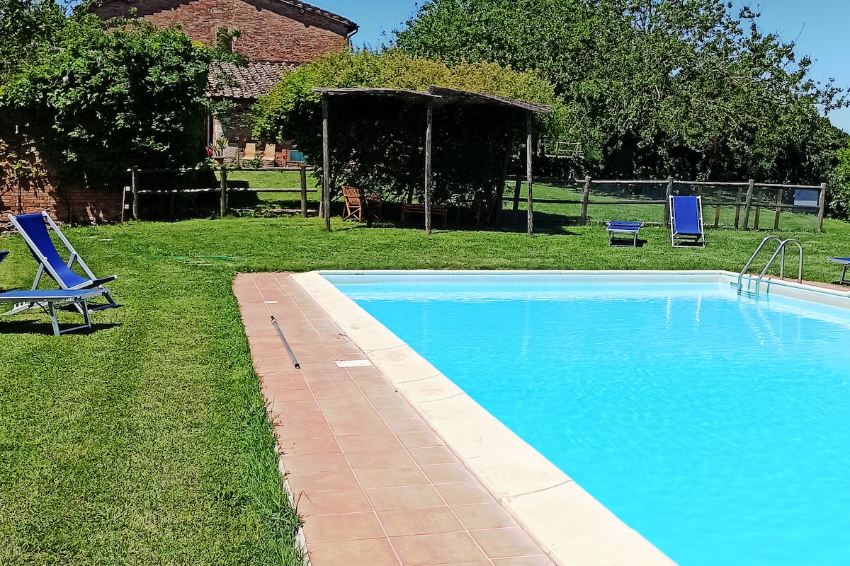 A clear blue swimming pool is surrounded by well-maintained grass, offering lounge chairs for relaxation. In the background, a rustic building is partially visible among lush greenery, providing a serene outdoor environment for guests.