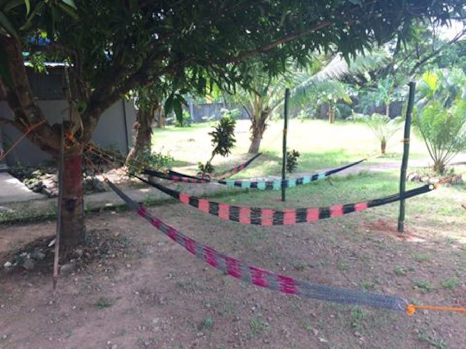 Garden with hammocks