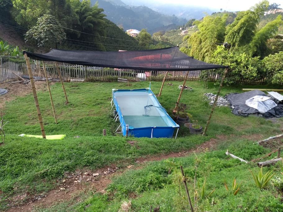 piscina