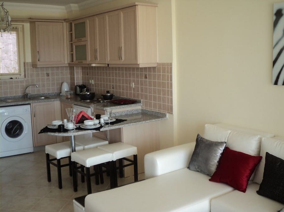 mutfak ve salon birleşiktir