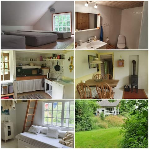 Lovely little forest cabin near Langå