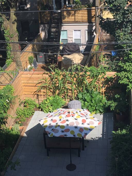 Private backyard!