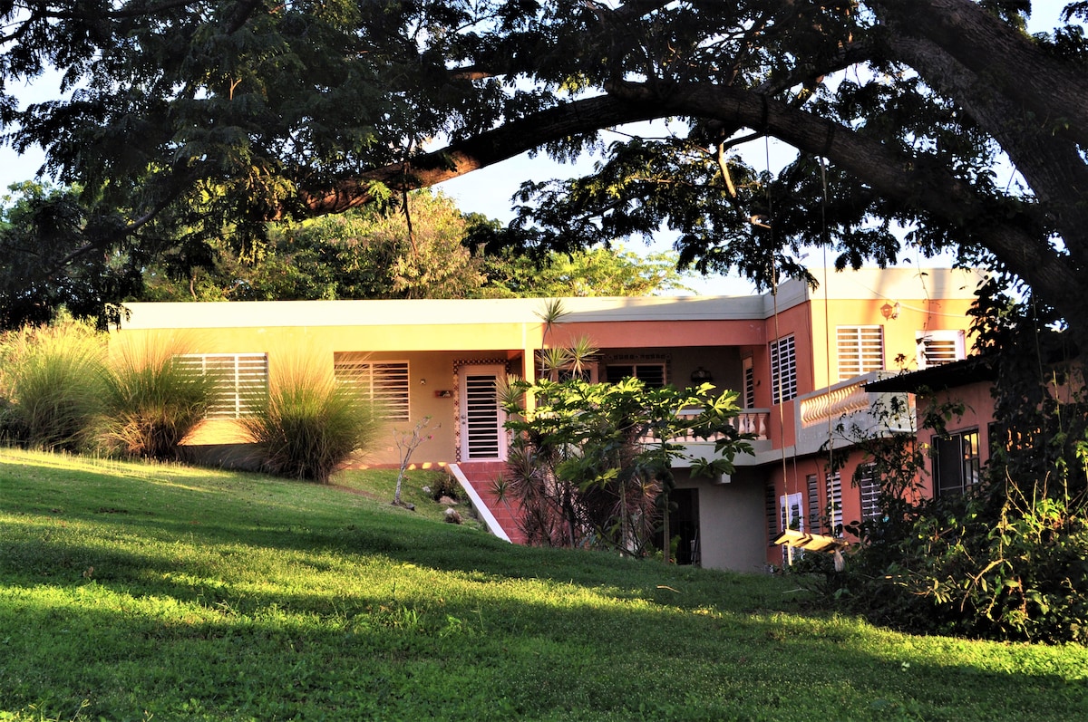 A single-story guesthouse is nestled amid lush greenery on a gently sloping lawn. Large windows reflect natural light, while surrounding foliage adds a serene atmosphere. A path leads to the entrance, with plants enhancing the inviting exterior.