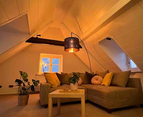 Charming loft near the Rhine