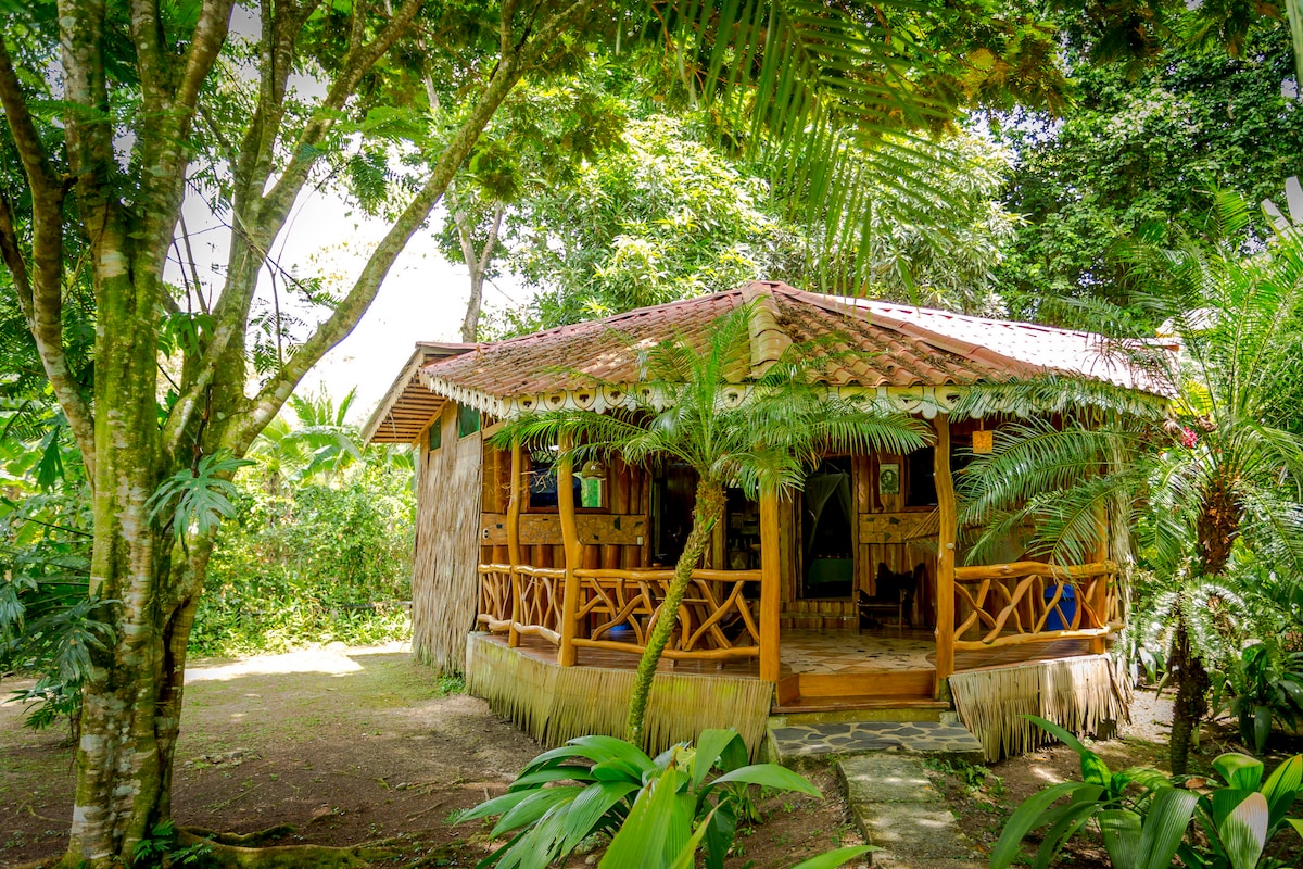 A tropical bungalow is nestled among lush greenery, featuring a traditional thatched roof and a wooden wrap-around porch. The structure is surrounded by vibrant plants, enhancing the serene atmosphere. Large windows invite natural light into the interior, seamlessly connecting the space with the surrounding garden.