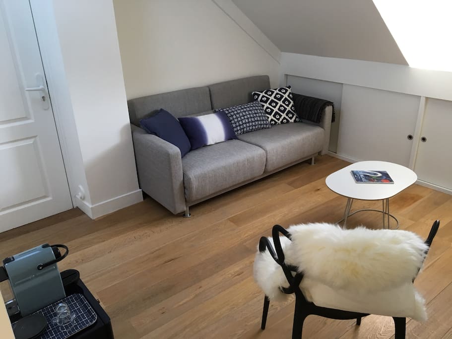 Cozy living room with fold out sofa bed for one extra guest
