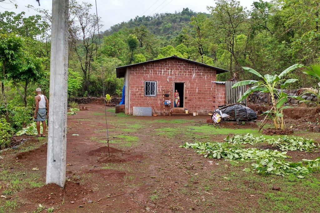 Home view from main road