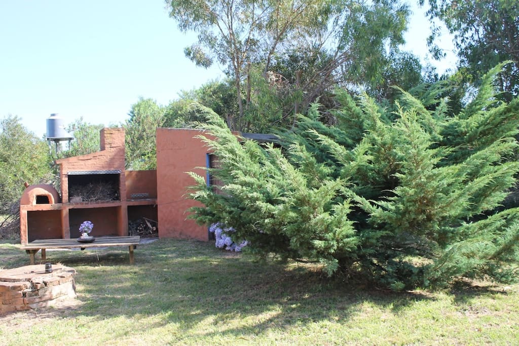 Yard, grill, and shed