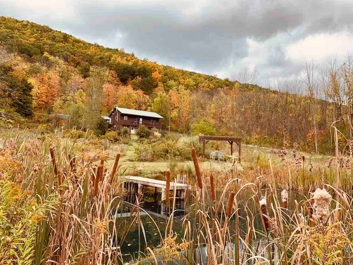 House In A Woods Of Middlesex, Ny - Naples, NY