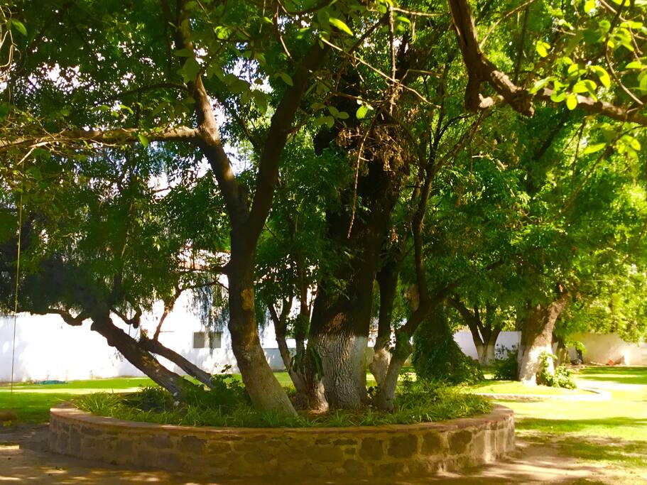 Parque recreativo en el fraccionamiento