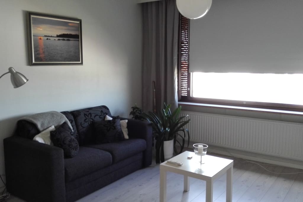 Oleskelu tilan vuodesohva - living room space with a sofa bed