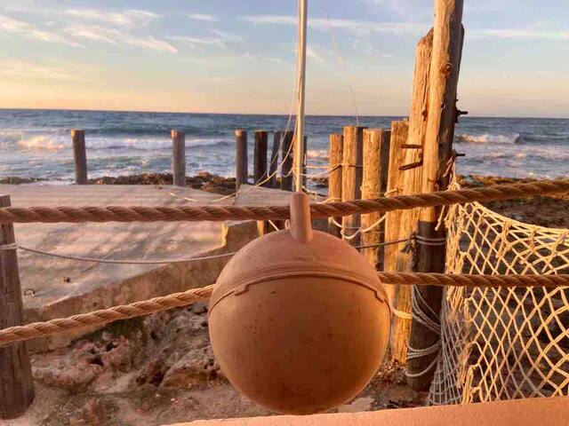 Entire home with 1 bedrooms in Havana - A little paradise in Havana!!