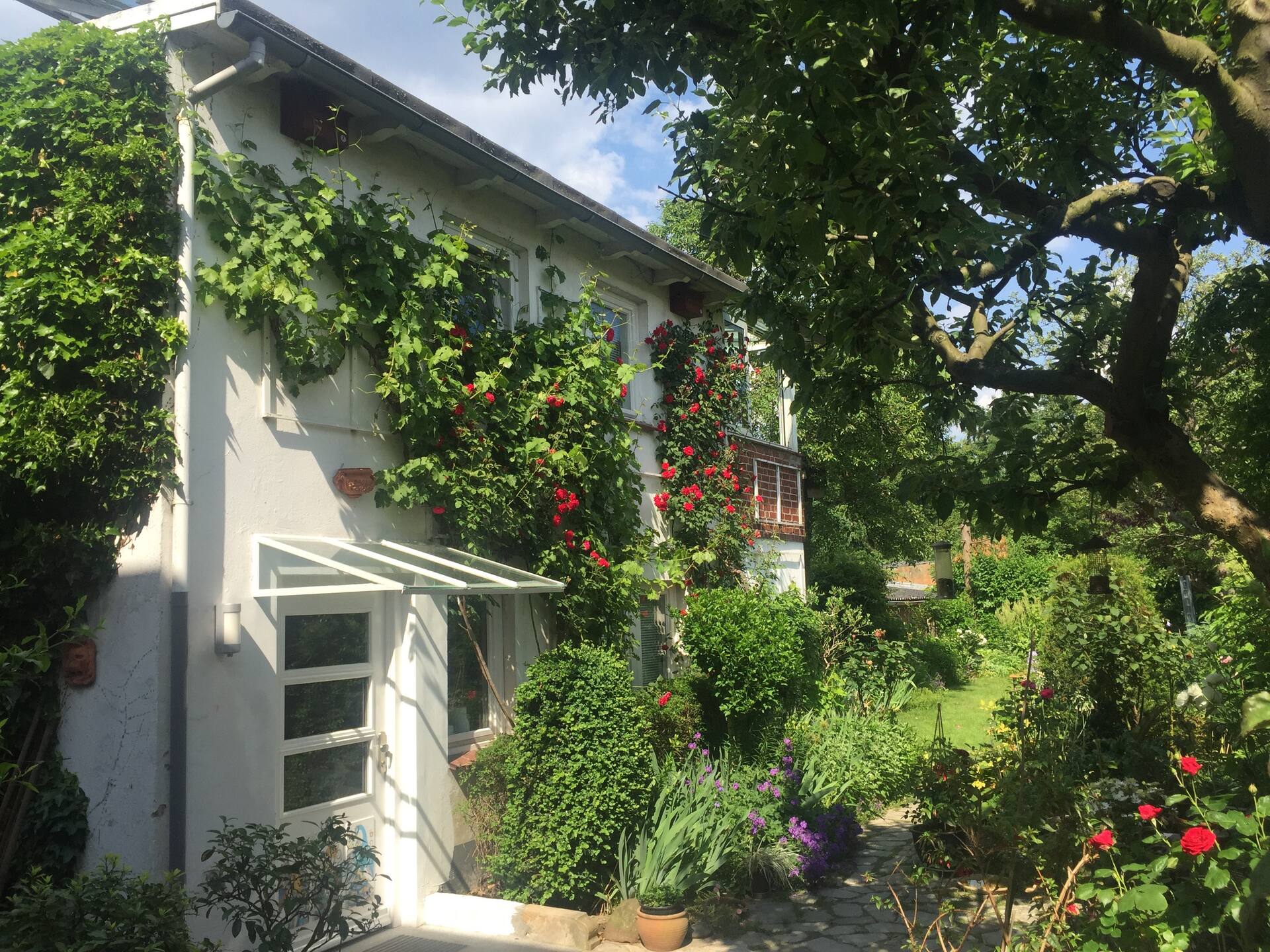 Cozy garden house