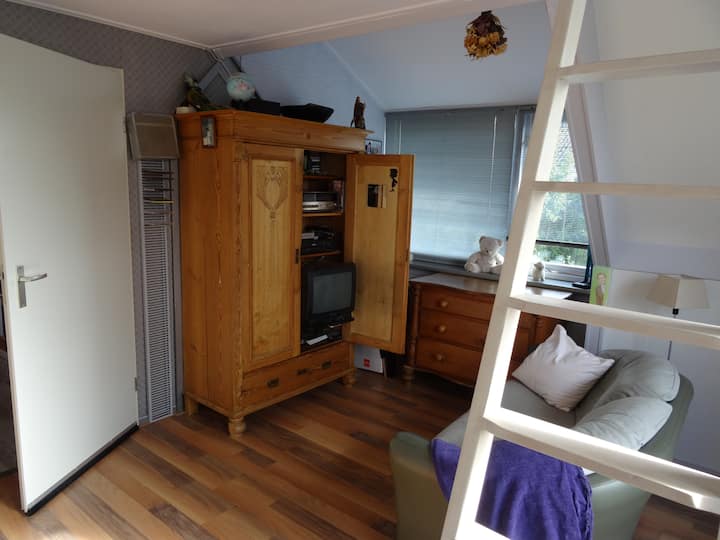 Зона за сядане, развлекателна телевизия