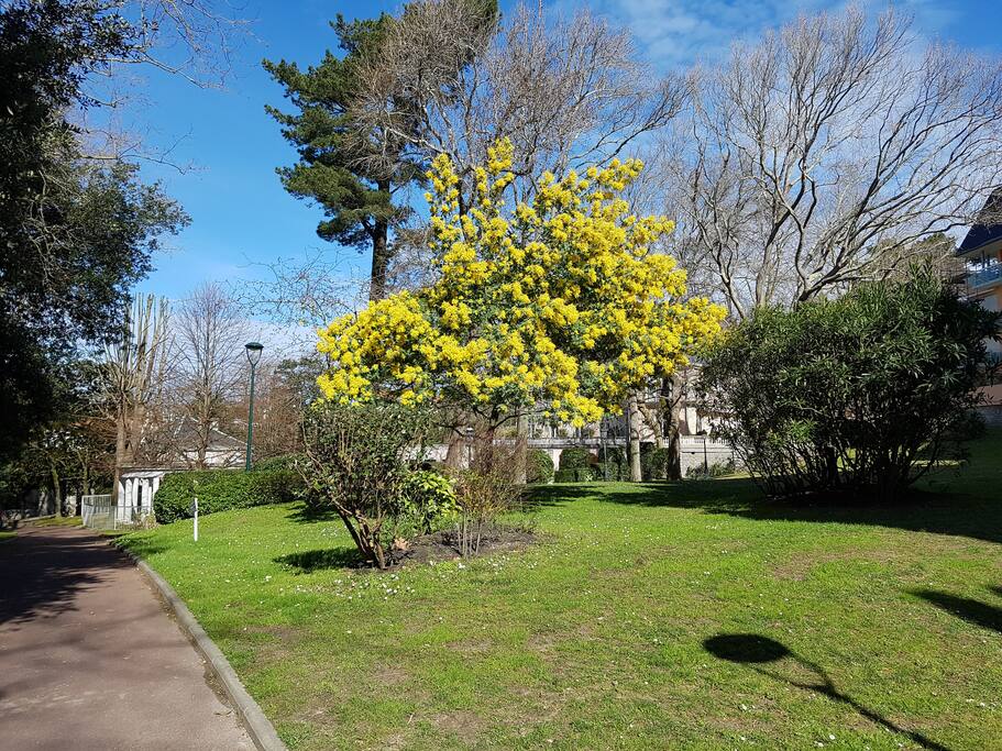 jardin de la résidence