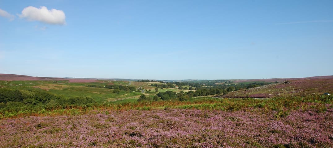 Moorholm - for peace and quiet in the moors