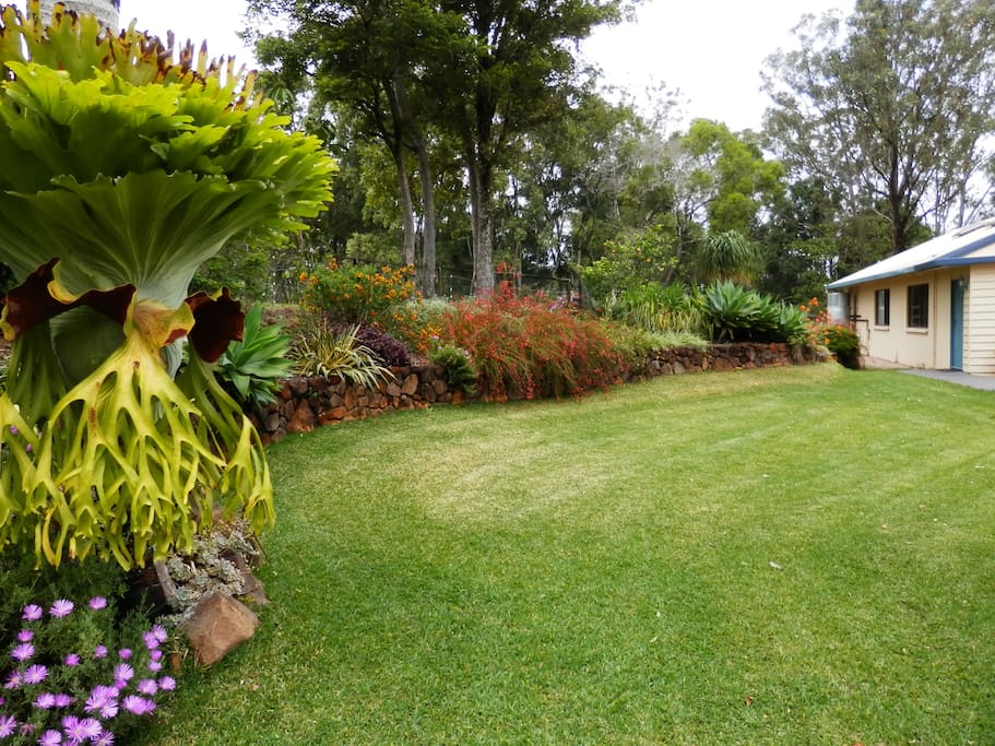Garden leading you towards your Bedroom in the Accommodation Wing