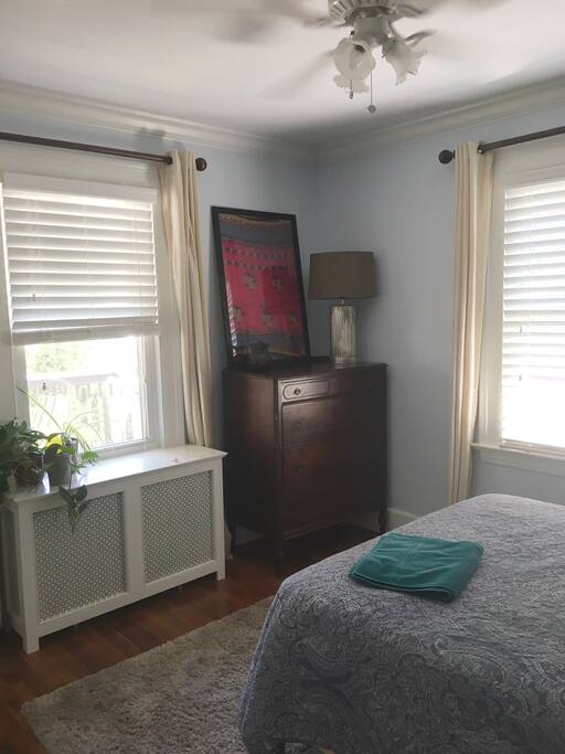 Your Bedroom: Double bed, dresser, closet, full length mirror, lots of light.
