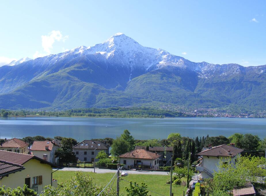 Blick
