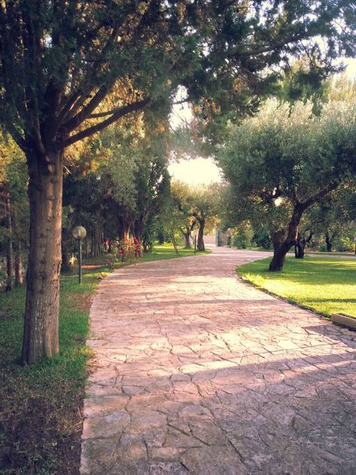 Viale d'entrata ed uscita.