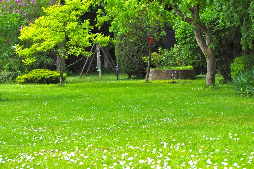 Le jardin