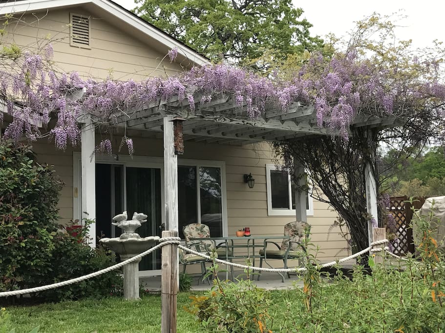 Relax & unwind under the wisteria while watching the bunnies!