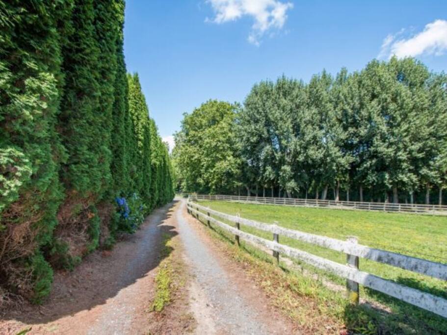 Driveway