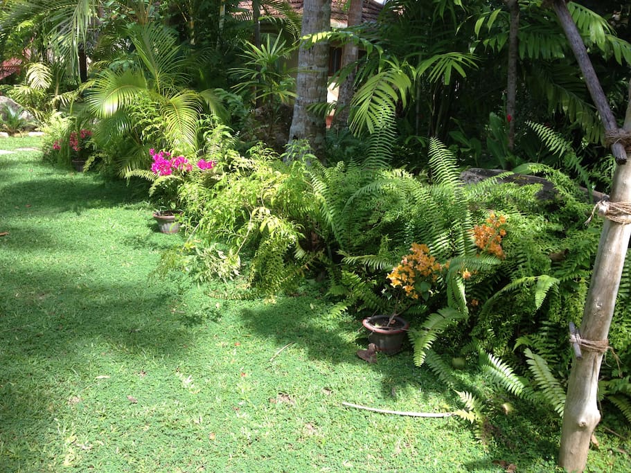 garden