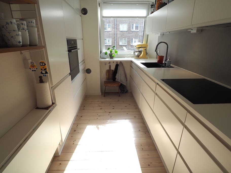 Well equipped kitchen (including: dishwasher, oven, induction hob, microwave oven and various kitchen utensils)