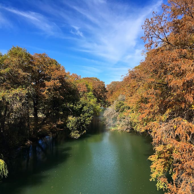 The Medina River in the fall.