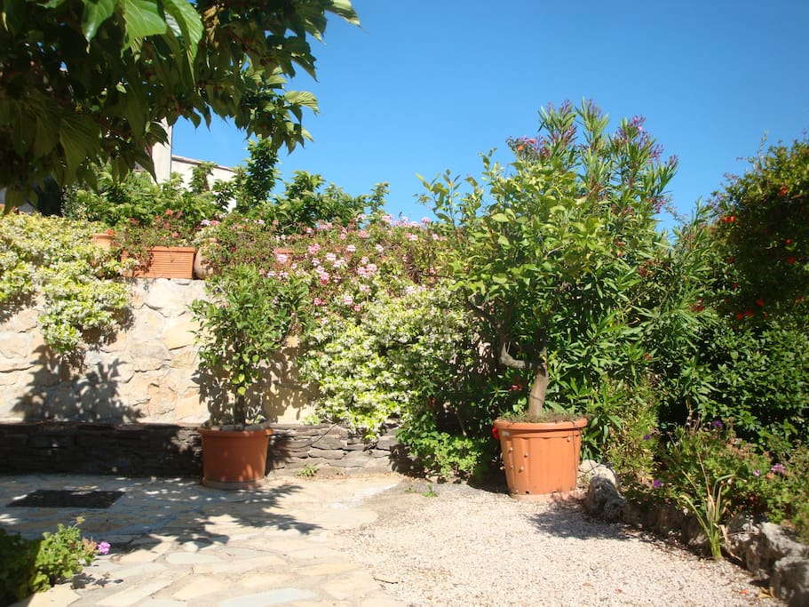Terrasse et jardin