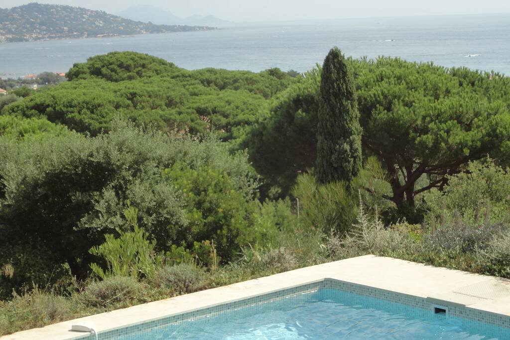 Vue depuis la plage de la piscine