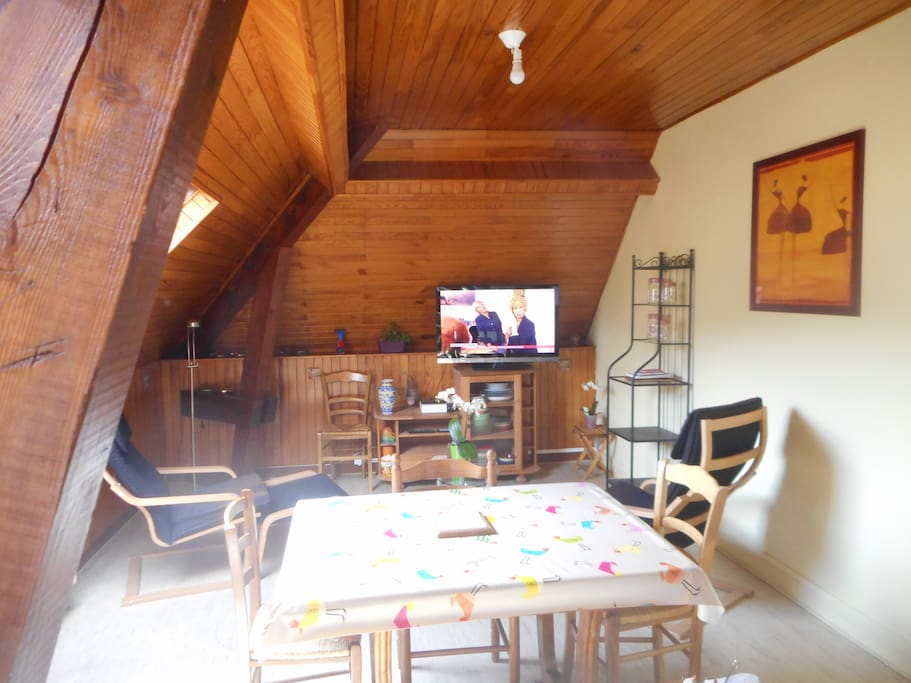 LA TELEVISION GRAND ECRAN PLAT UNE BELLE VUE SUR LA VALLEE