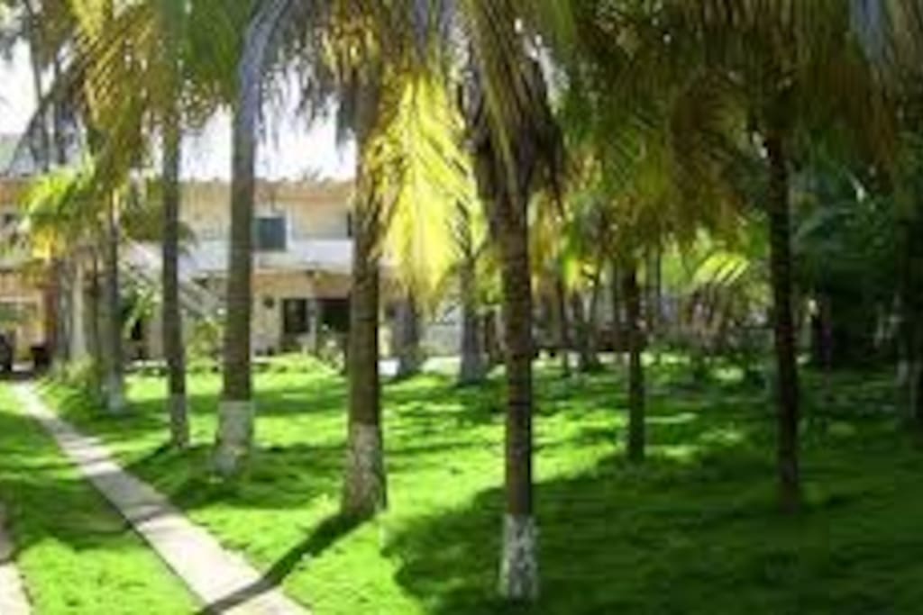 Jardin