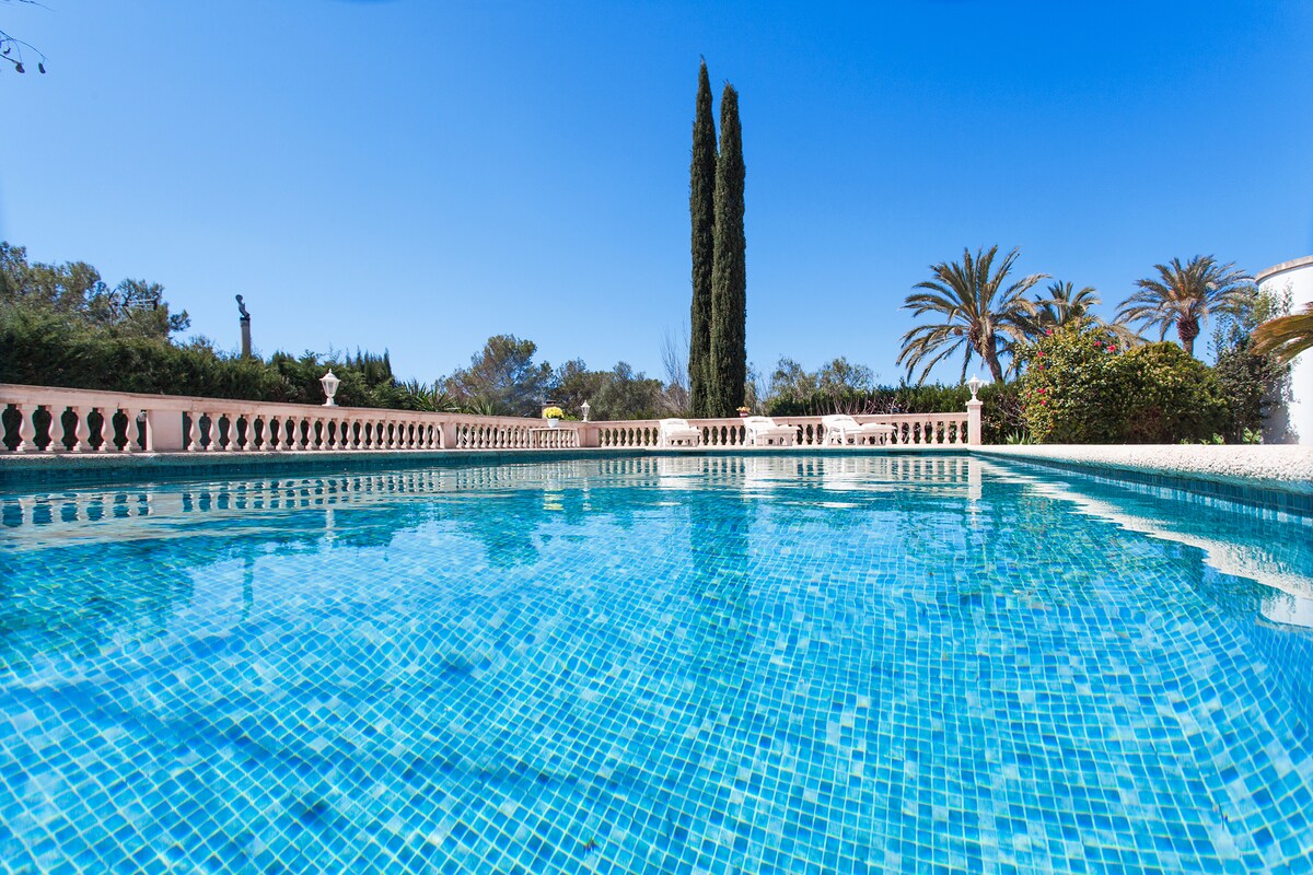 A private swimming pool is seen, featuring clear blue water reflecting the vibrant sky. Surrounding the pool, tall cypress and palm trees create a serene atmosphere, while a decorative stone wall borders the area, enhancing the garden's design.