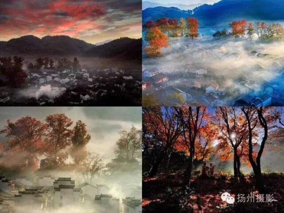 婺源石城红枫