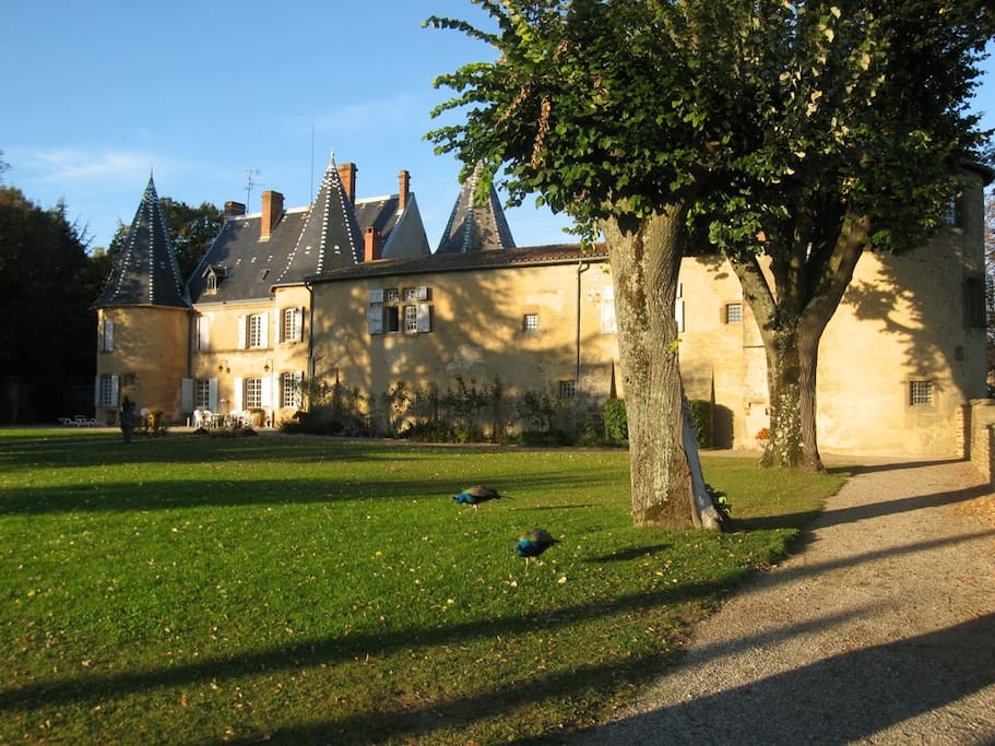 Le parc du château