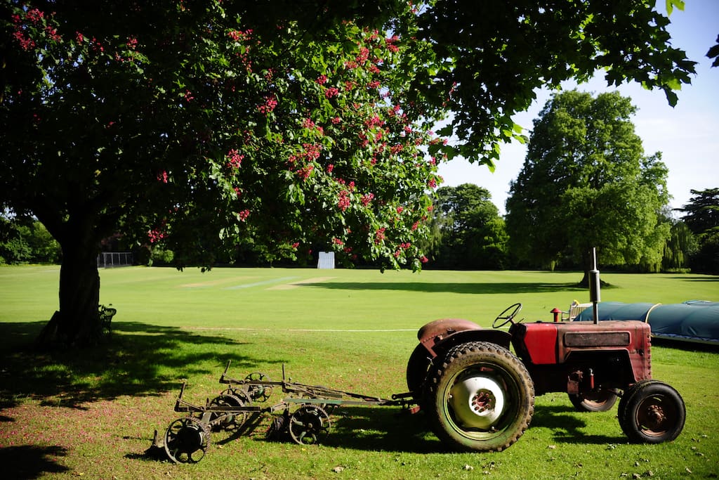 Fabulous view of Thurgarton cricket pitch, voted in the top 5 cricket pitches in England.
