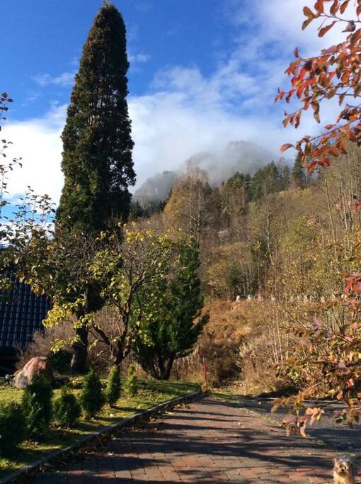 View from the main residence
