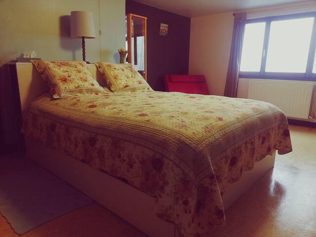 Au plus près du paradis forestier... Rochehaut