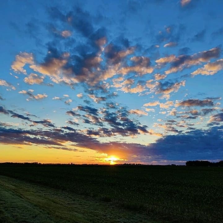 Top 12 Airbnb Vacation Rentals In Grand Forks, North Dakota Updated