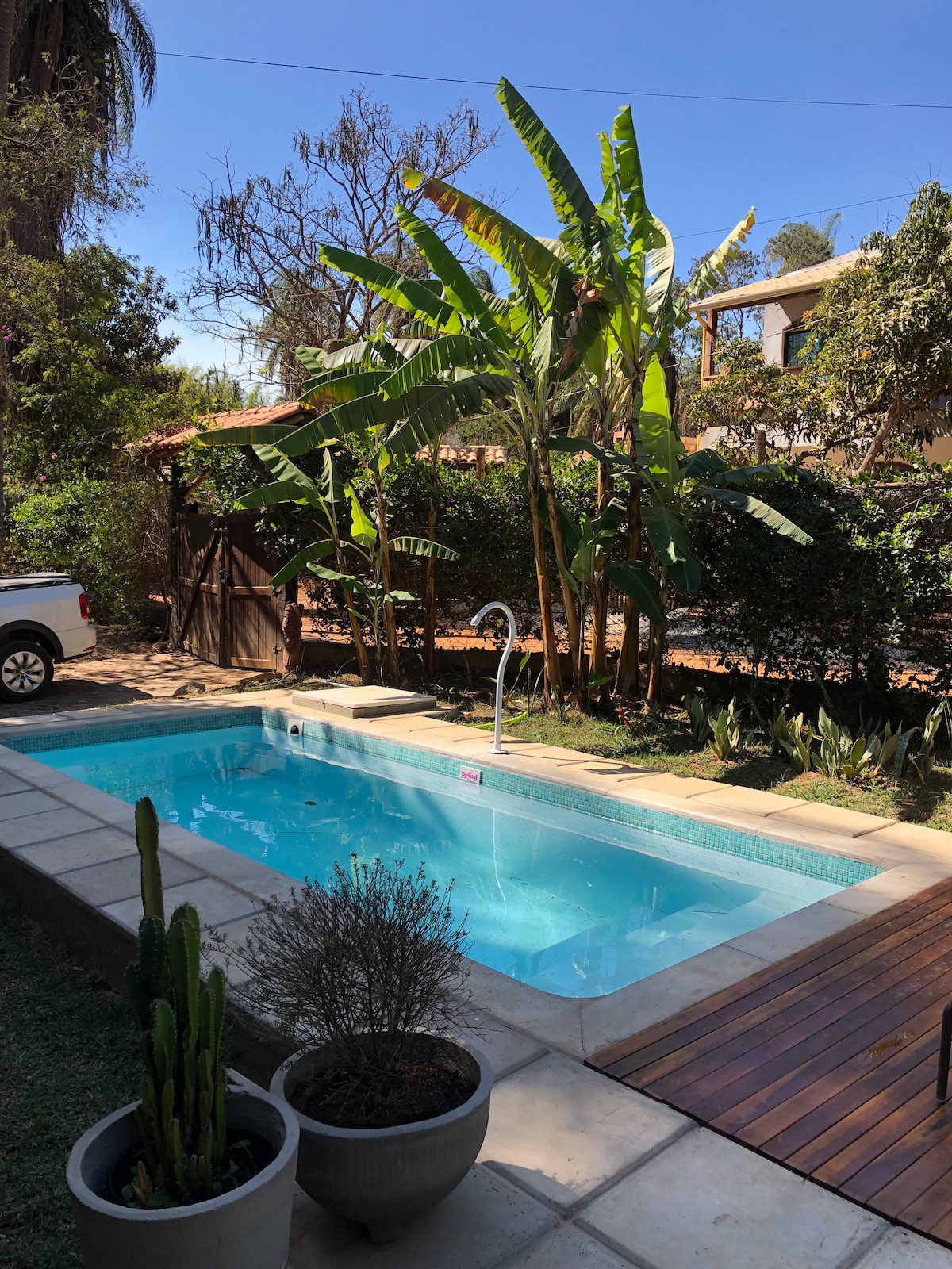A serene outdoor space features a clear swimming pool surrounded by lush greenery, including tall banana plants and low shrubs. Sunlight highlights the pool's inviting surface, while a wooden deck and potted plants add to the natural ambiance.