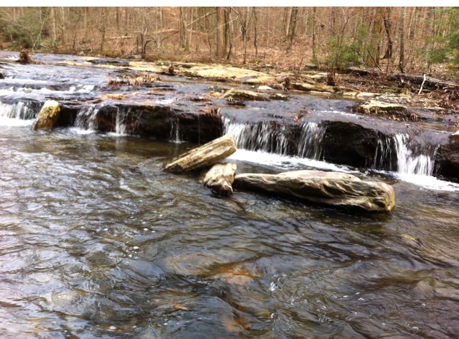 Designated trout stream Rock Creek